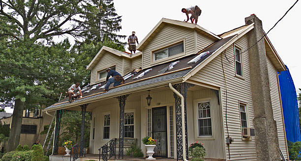 Best Roof Leak Repair  in Oakes, ND