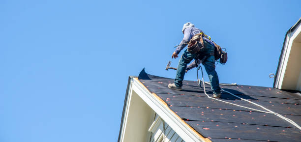 Best Local Roofing Companies  in Oakes, ND